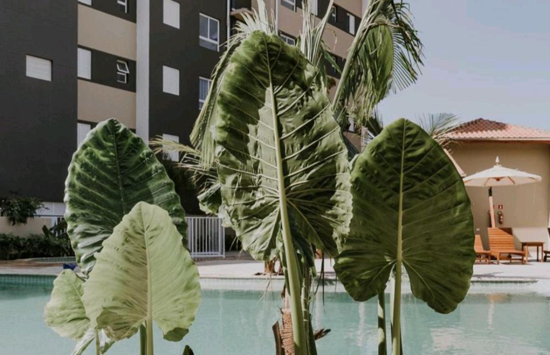 Jardim Das Palmeiras II Home Resort อูบาตูบา ภายนอก รูปภาพ